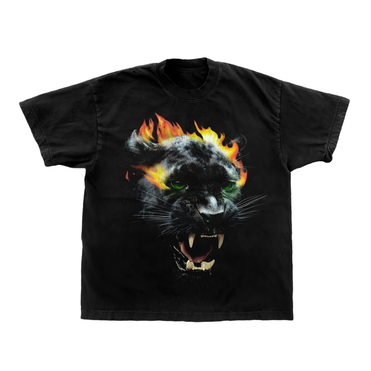 Signed JAGUAR 5 Year Anniversary Bundle - Pre order